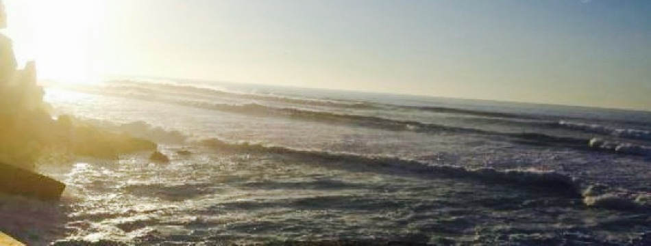 Restaurante Adega das Azenhas