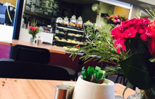 Black Bird Coffee House餐厅图片