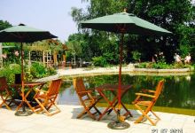 The Orchard Tea Rooms美食图片