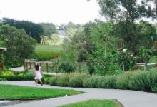 Wild Cattle Creek Estate美食图片