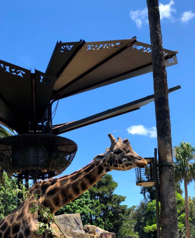 Melbourne Zoo