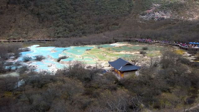 황룡 오채지