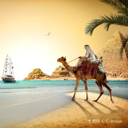 埃及开罗+阿斯旺+尼罗河+卢克索+红海Red Sea11日跟团游