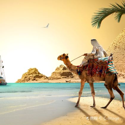 埃及开罗+卢克索+沙姆沙伊赫12日跟团游