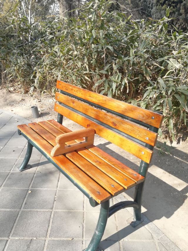 Purple Bamboo Park
