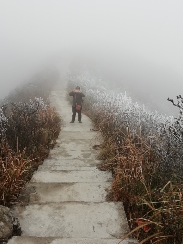 贵州黔东南丹寨龙泉山 如果不记录这次意外的际遇，我就对不起上苍预留我的这份情缘。那满山遍野只为我盛开