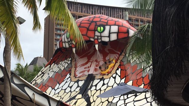 Amazon Jungle Water Park