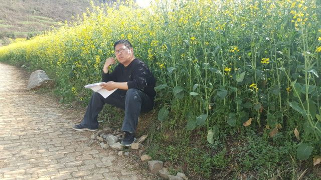 Luoping Canola Flower Ocean