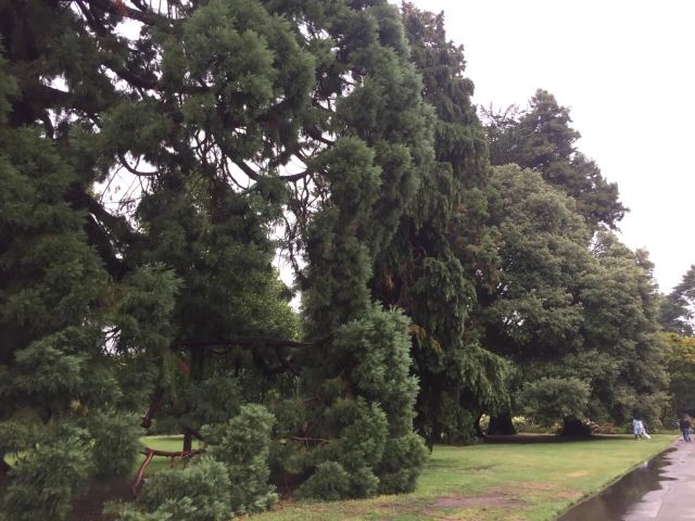 基督城植物園
