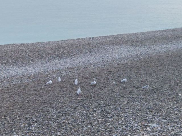 Blue Beach