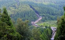 金龙长城-成都-doris圈圈