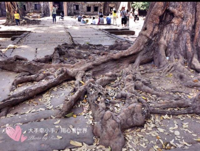 Ta Prohm