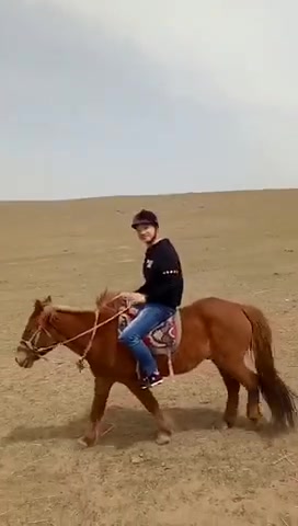 内蒙古草原一日游骑马