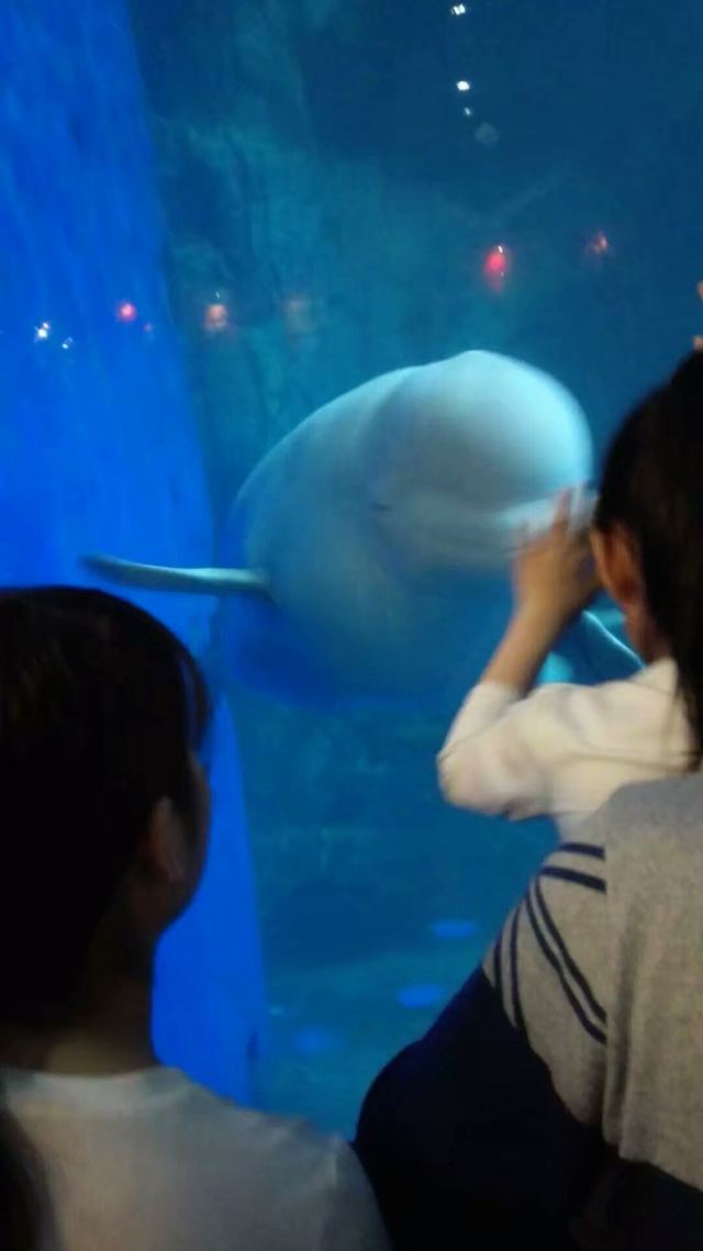 Qujiang Polar Ocean Park