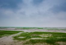 杭州湾国家湿地公园景点图片