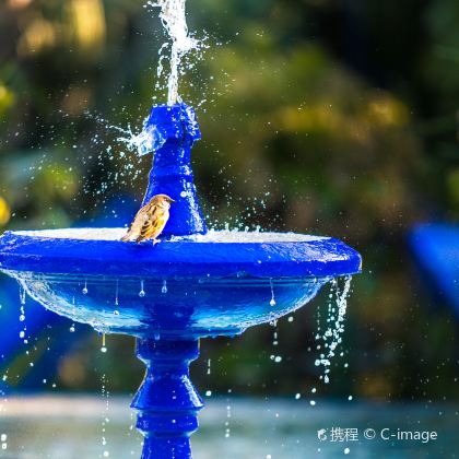 摩洛哥撒哈拉沙漠+卡萨布兰卡+马拉喀什+舍夫沙万12日跟团游