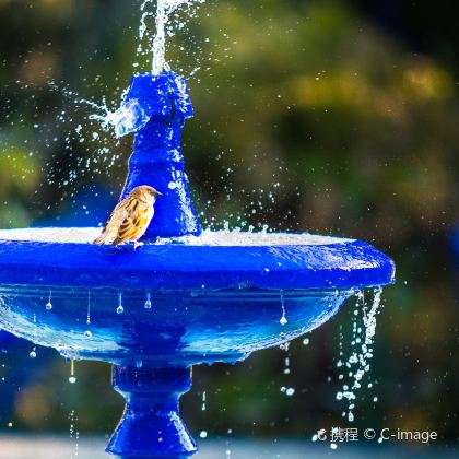 摩洛哥撒哈拉沙漠+卡萨布兰卡+马拉喀什+舍夫沙万12日跟团游