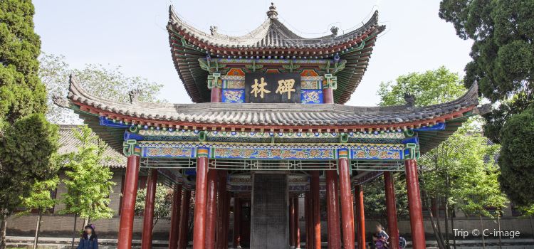 Xian Beilin Museum Tickets Deals Reviews Family - 