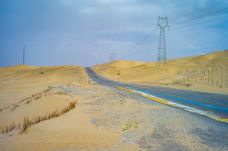 沙漠公路-轮台-尊敬的会员