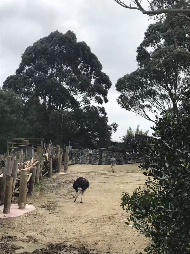 Auckland Zoo