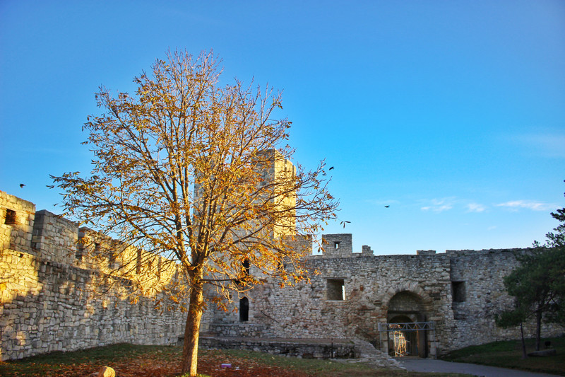 去欧洲不用办签证,塞尔维亚一场说走就走的旅