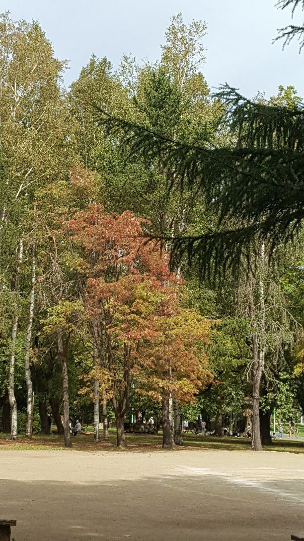 Maruyama Park