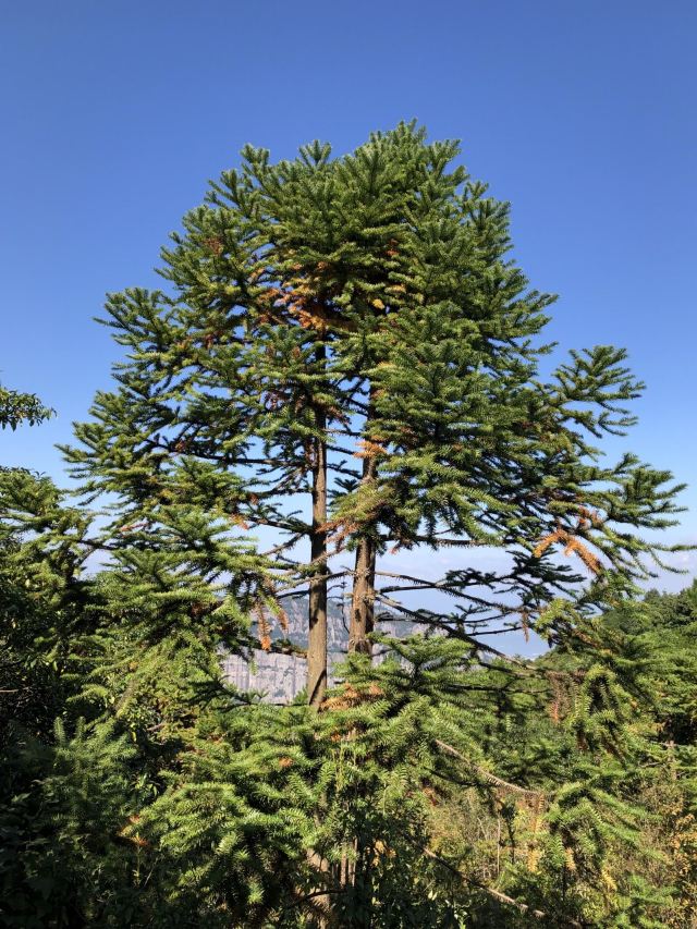 경성암