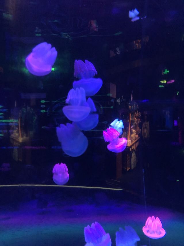 Grandview Aquarium