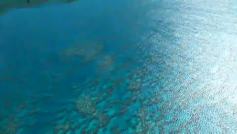 大堡礁太美了，如同另外一个世界。