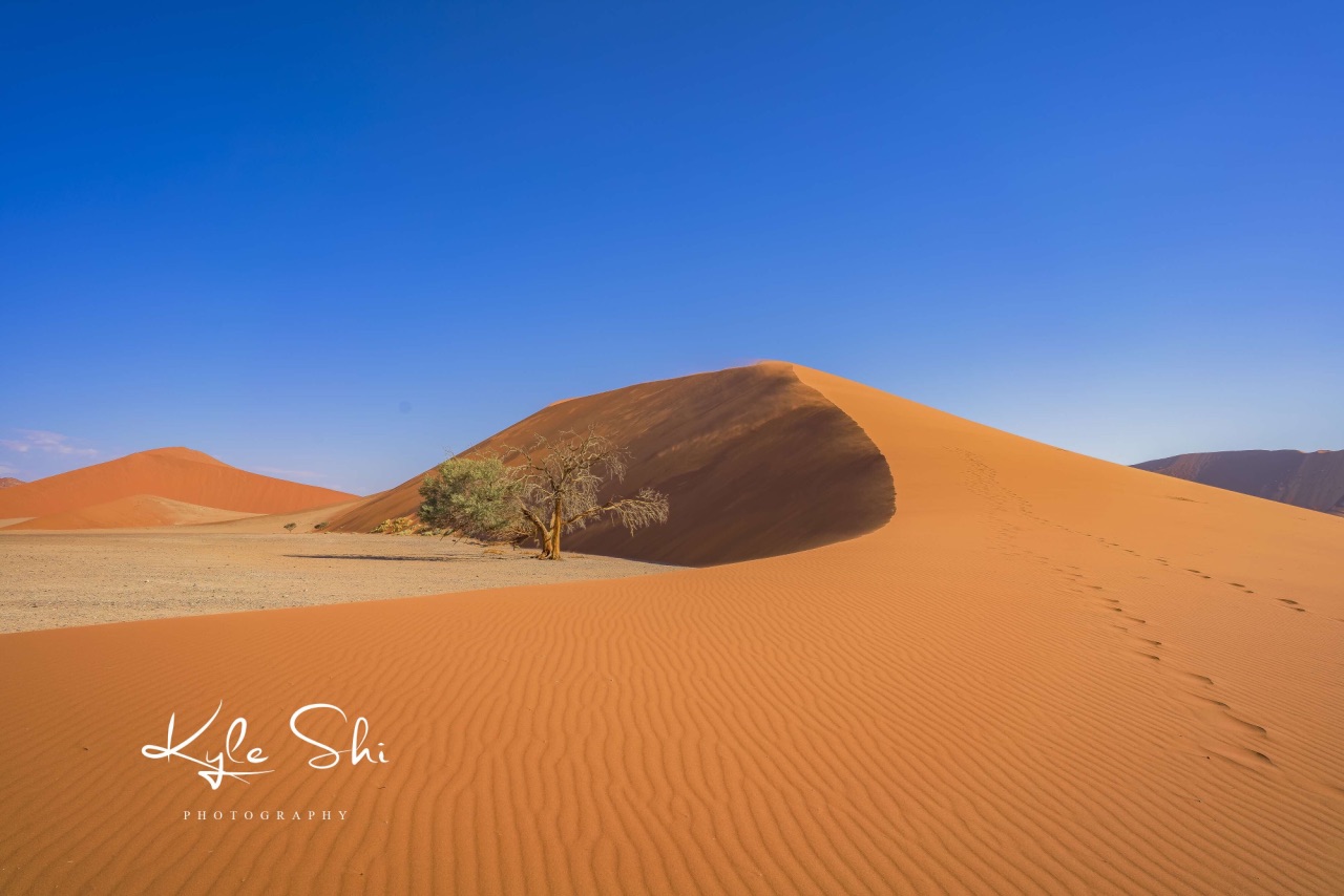 最古老的沙丘——Dune45