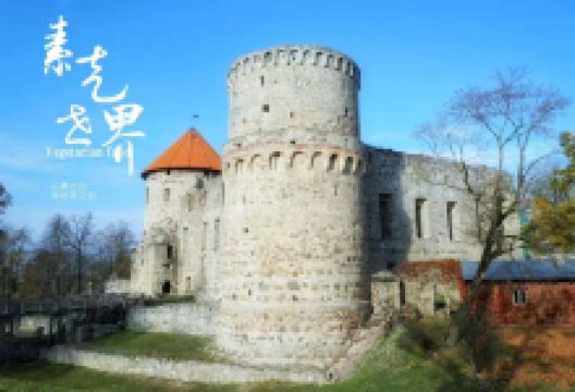 采西斯城堡景点图片