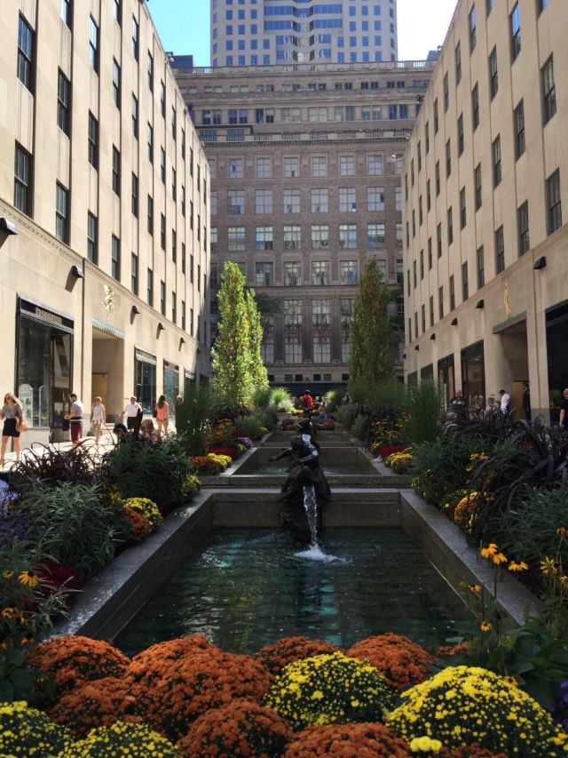 Fifth Avenue