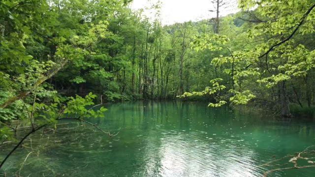Sastavci