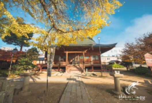 飞弹高地景点图片