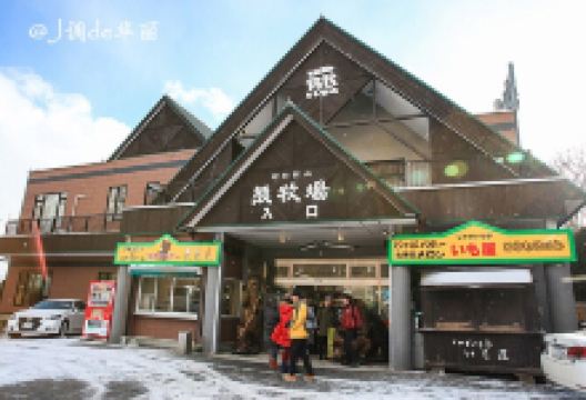 昭和新山熊牧场景点图片