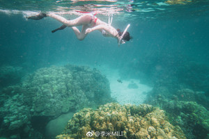 皮皮岛游记图文-一起去泰国浮潜吧！