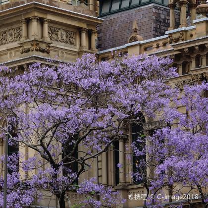 澳大利亚8日跟团游