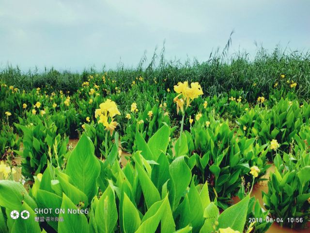 Yueliangwan Wetland Park