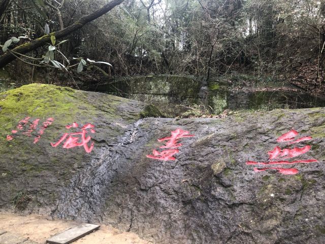 千島湖東南湖區景區