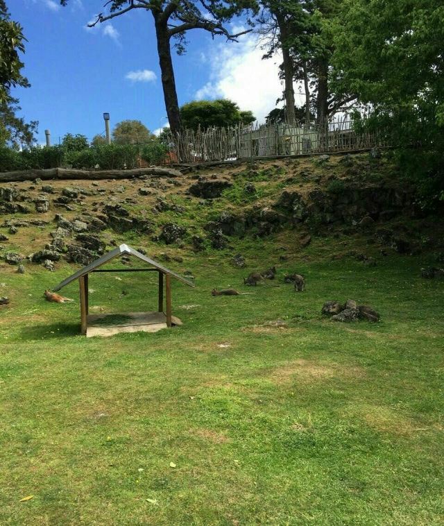 Auckland Zoo