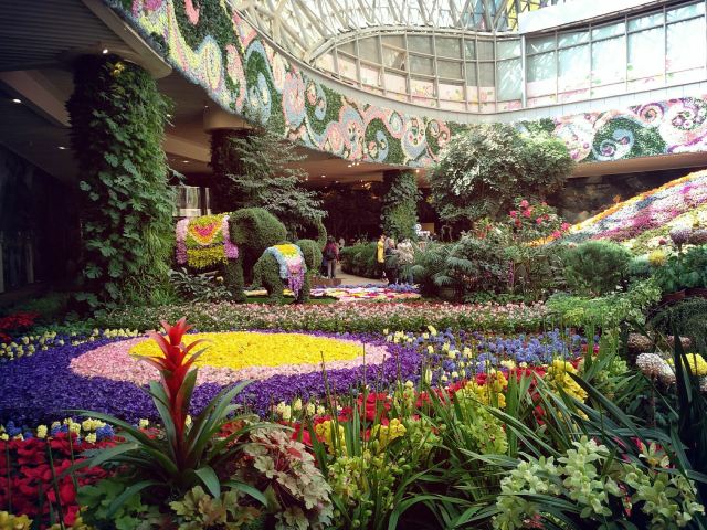 City of Flower
