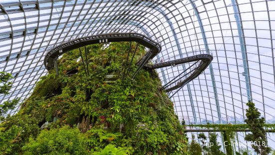 Flower Dome