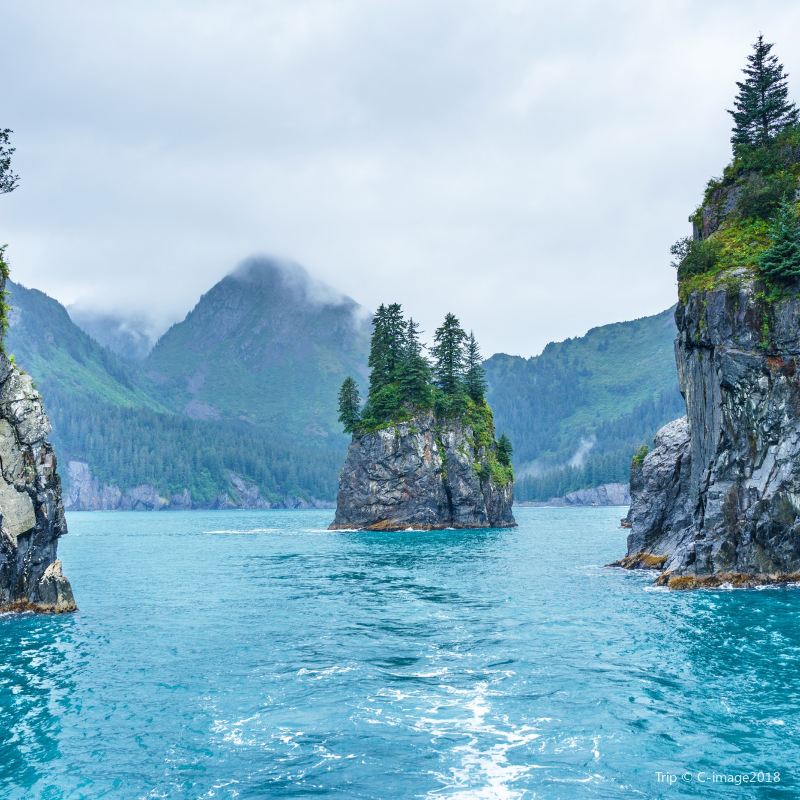 Kenai Fjords National Park Travel Guidebook Must Visit