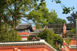 1-Day Yongzhou Tour: The ancient charm of Liuzi Temple, the cultural flair of Lingling Ancient City