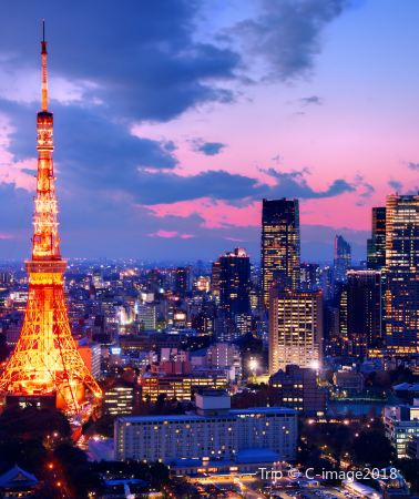 7天6晚 • 東京+鎌倉市+富士山+奈良+京都+大阪 