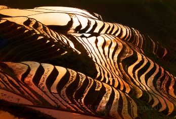 黄洛红瑶寨+龙脊梯田一日游【8人小包团】【龙脊梯田包含金坑大寨、黄洛瑶寨长发村、平安寨、古壮寨。 山路崎岖，原生态少数民族生活保持原本的样子。】