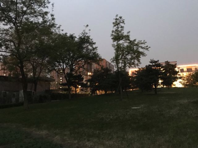 阳光星期八公园旅行图片 9