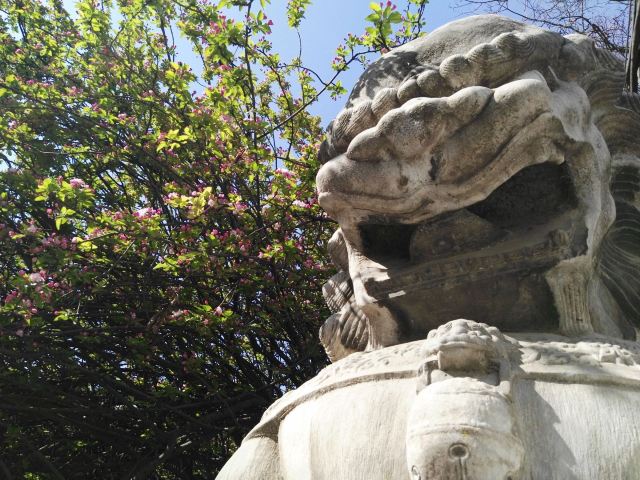 孚王府(不对外开放)旅行图片 2