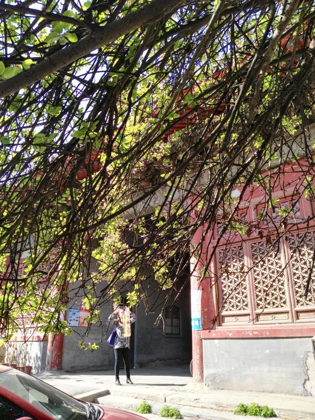 孚王府(不对外开放)旅行图片 3