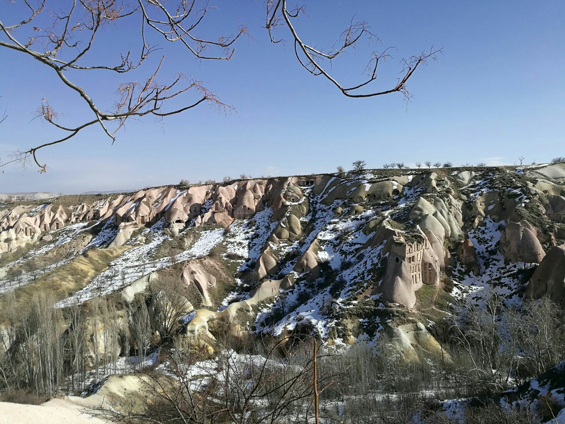 Bindalli Cafe & Restaurant餐厅图片